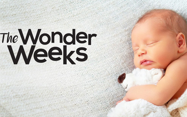 Wonder Weeks là gì?