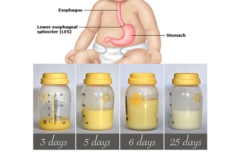 Sữa mẹ tác động tốt với hệ tiêu hoá của bé như thế nào?